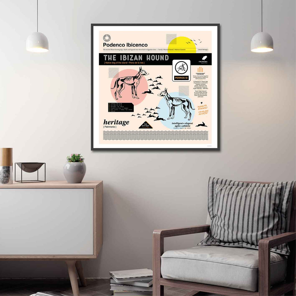 Framed graphic design giclée art print of the Podenco / Ibizan Hound in living space