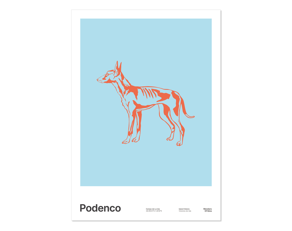 Minimal style graphic design Ibiza art print of an Ibizan Hound aka Podenco Ibicenco in orange with a sky blue backdrop 